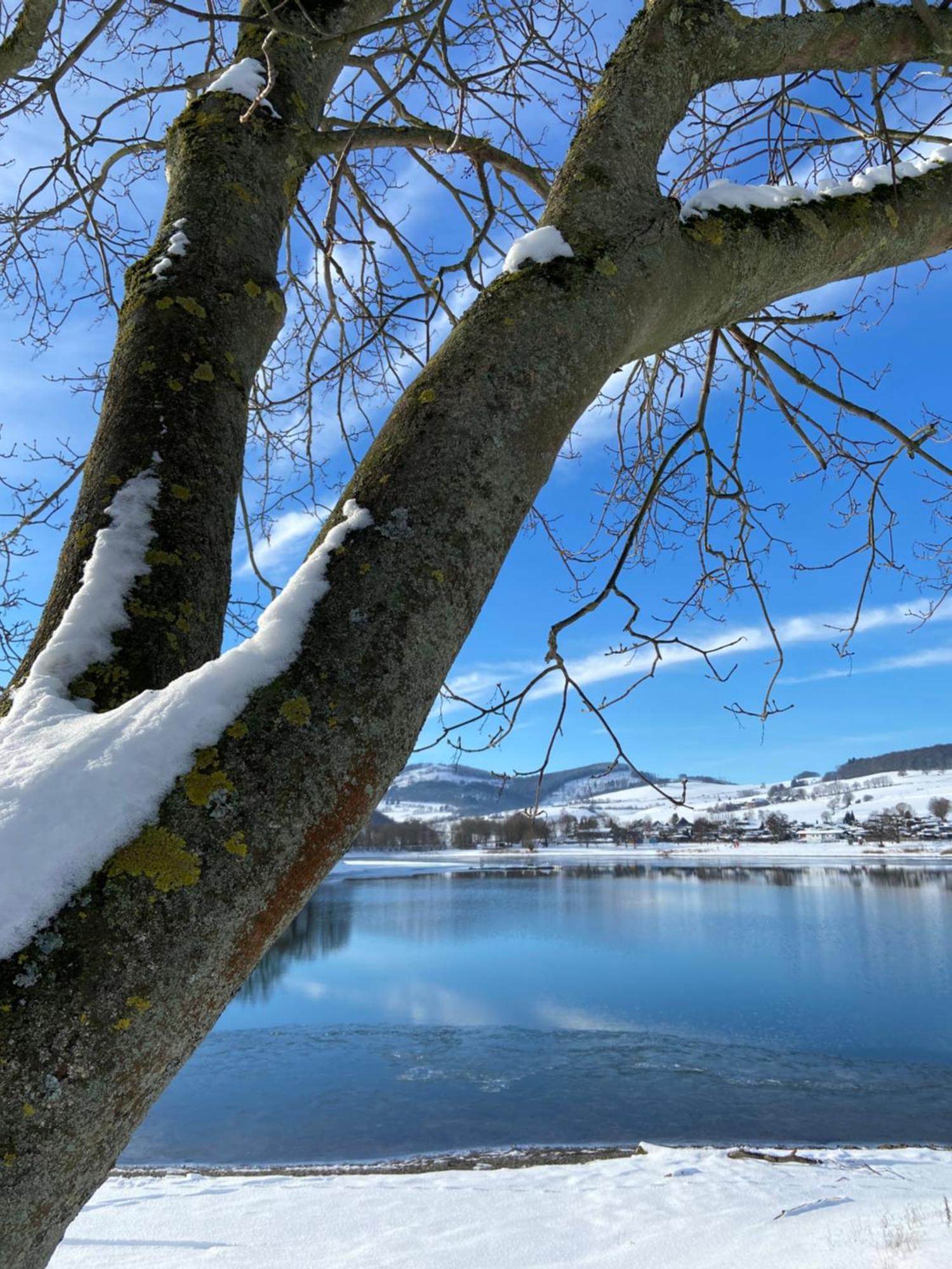 Fewo Panorama Diemelsee Eksteriør billede
