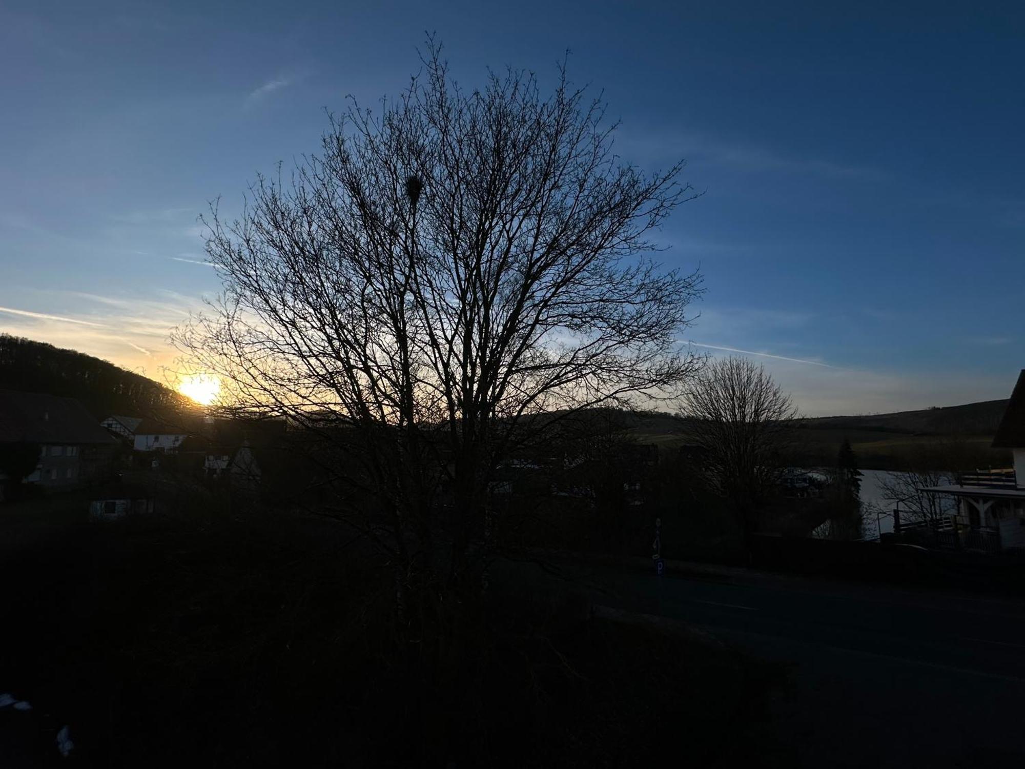 Fewo Panorama Diemelsee Eksteriør billede